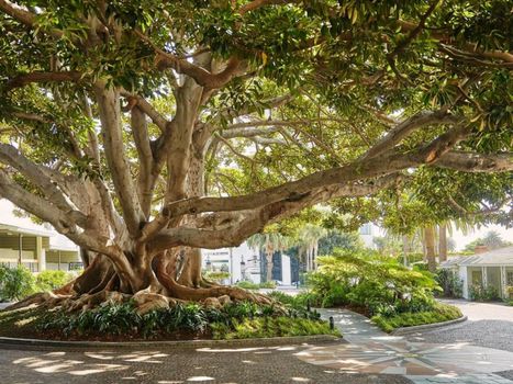 Fairmont Miramar Hotel & Bungalows
