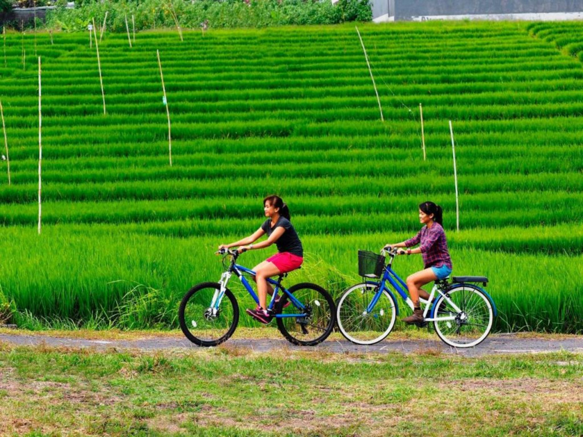 The Santai by LifestyleRetreats