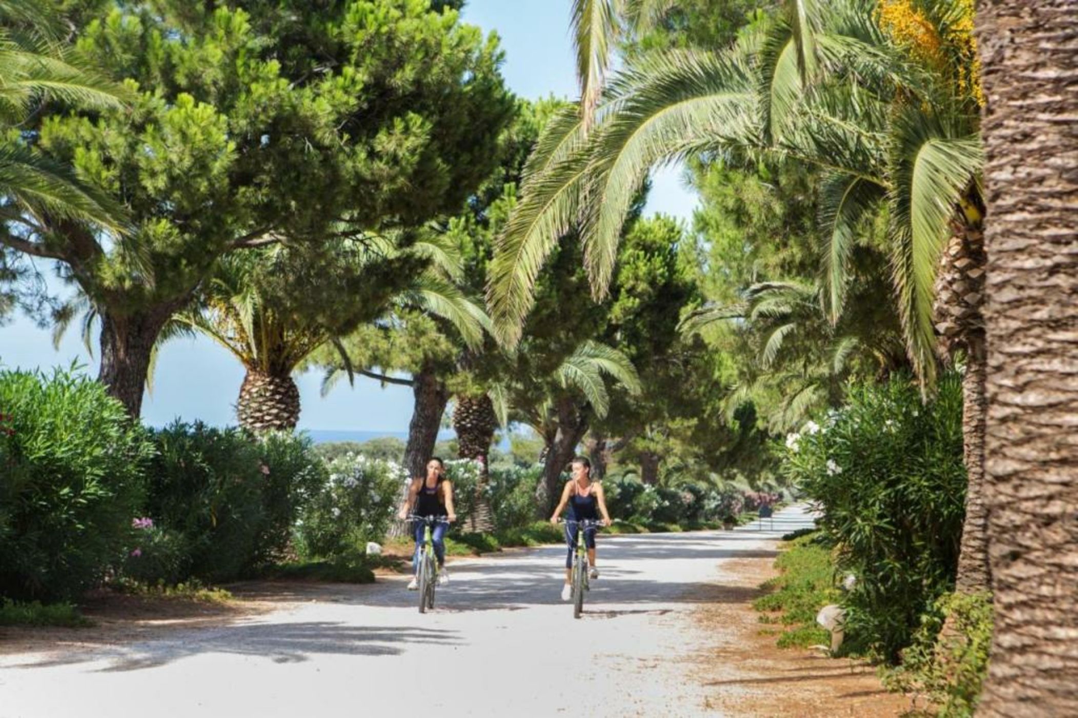 Masseria San Domenico - Preferred Hotels & Resorts