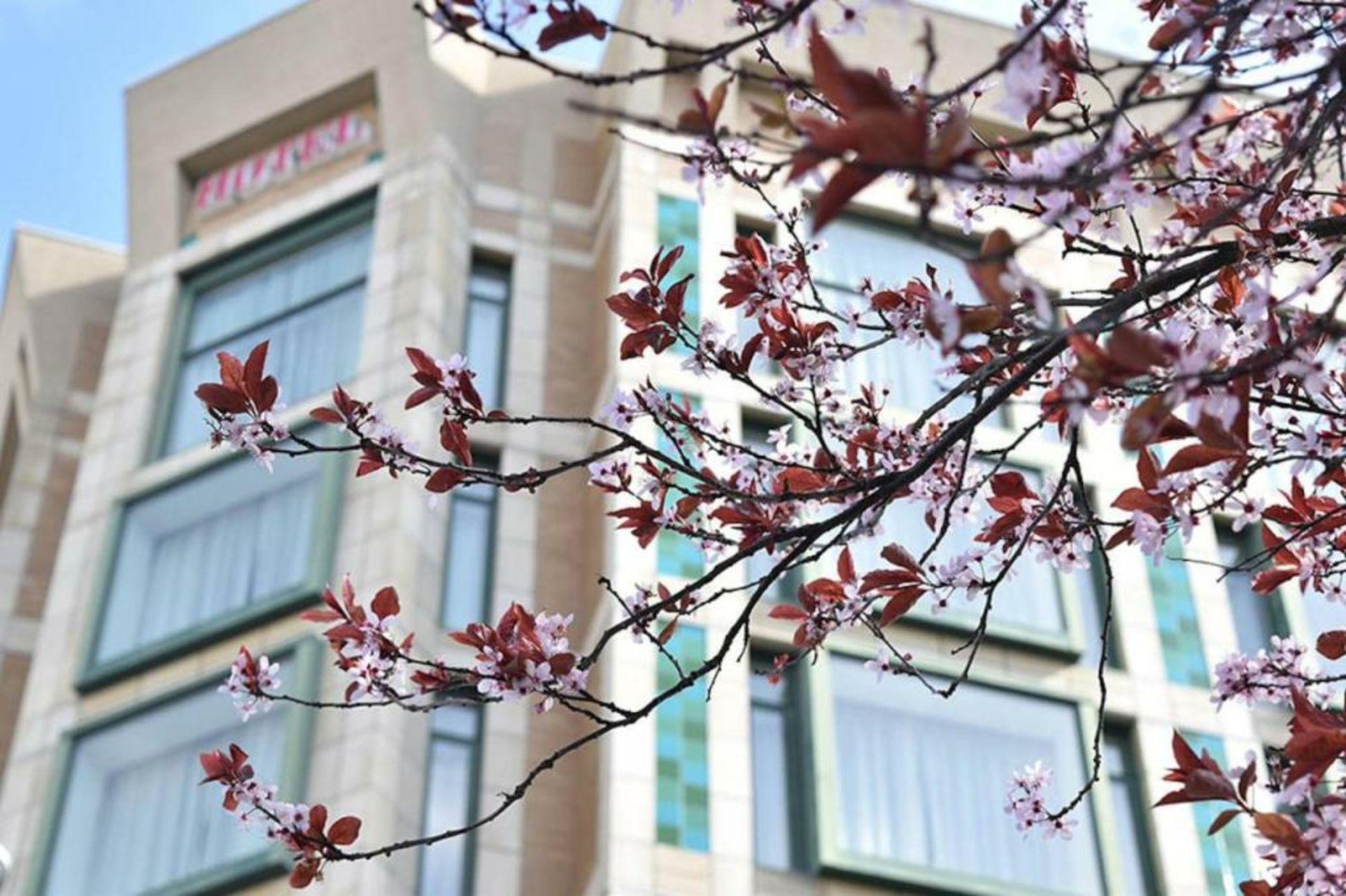 The Magnolia Hotel & Spa
