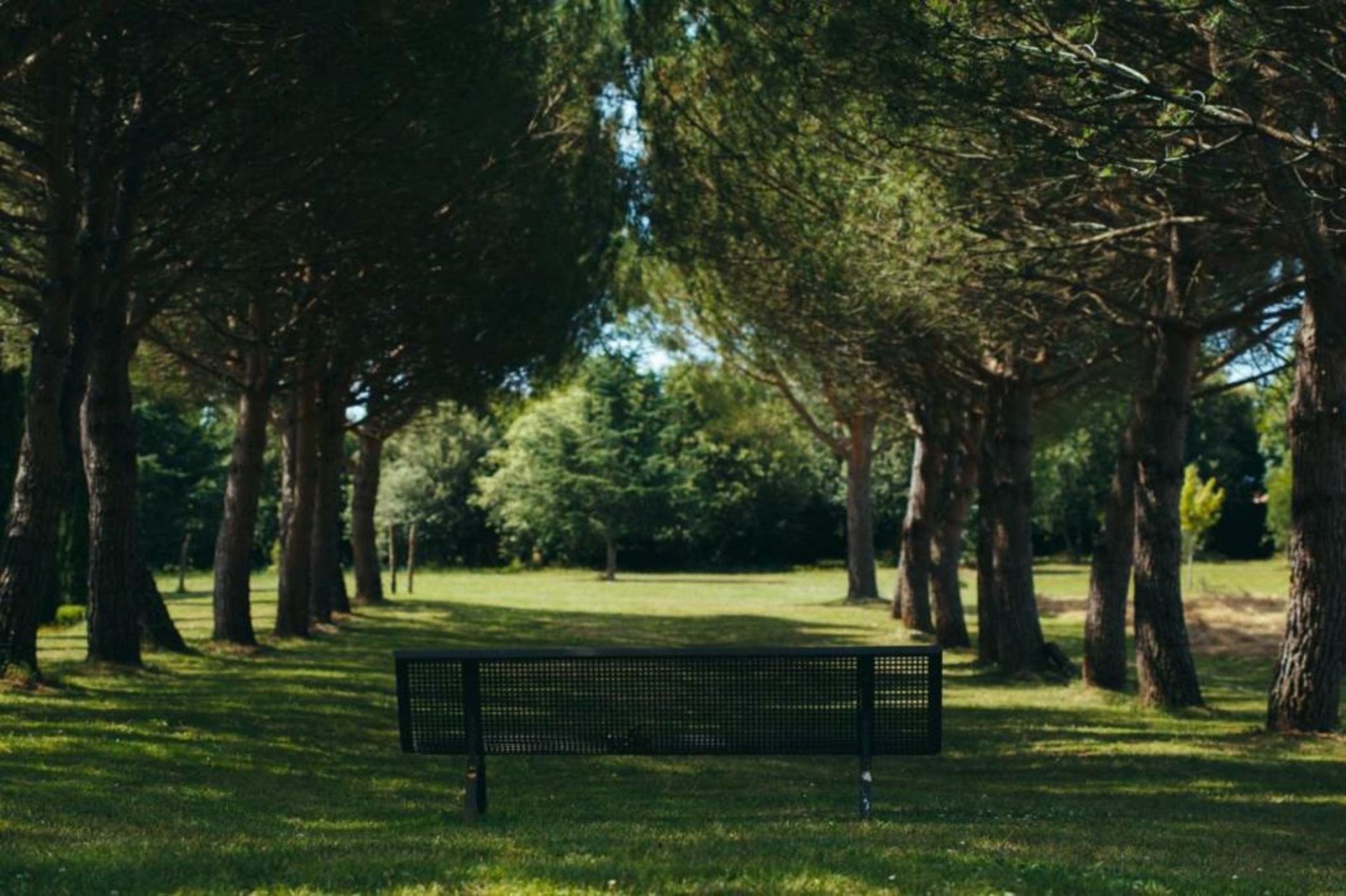 Domaine de Labarthe Maison d'hotes