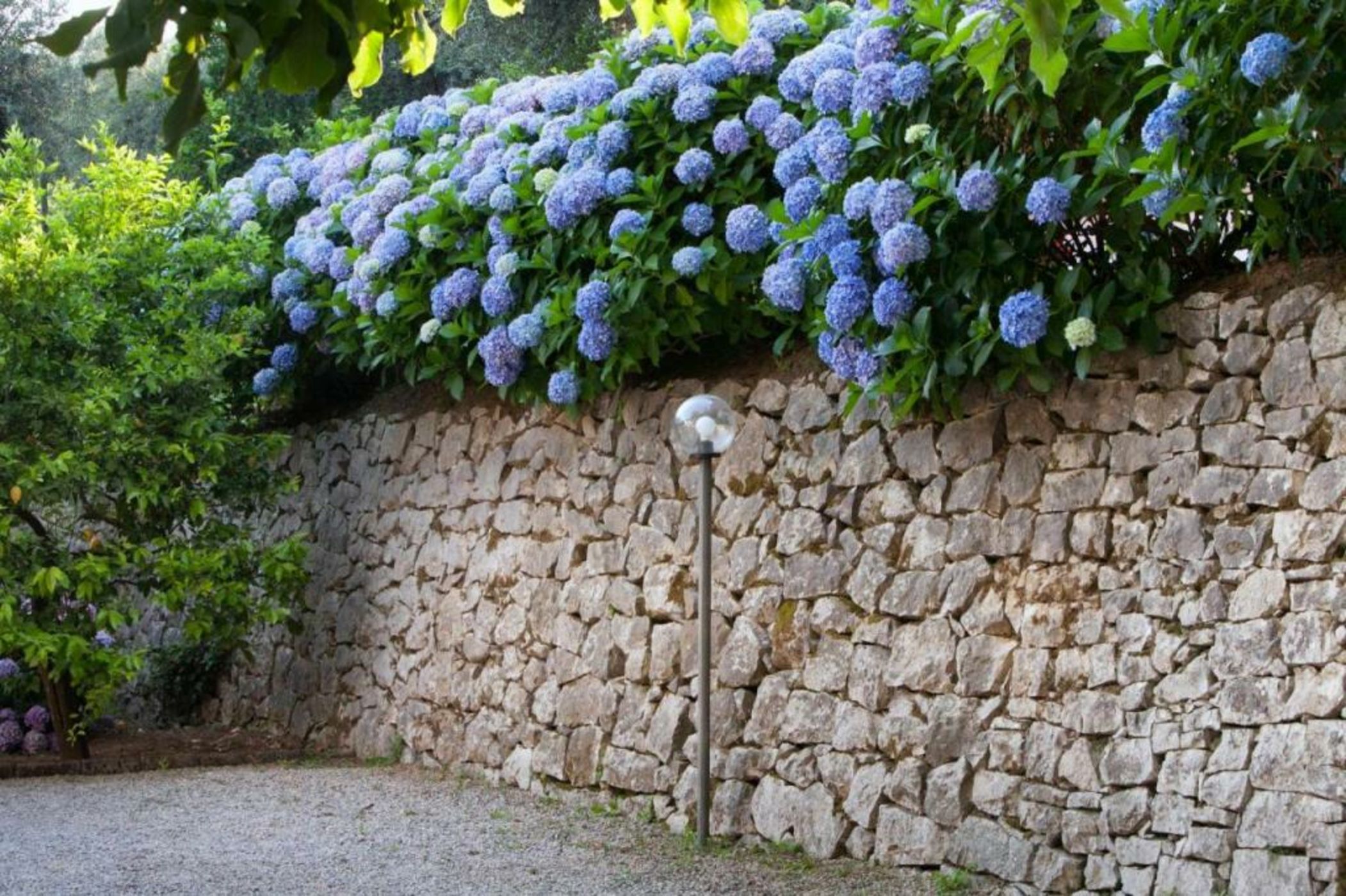 Villa Oriana Relais
