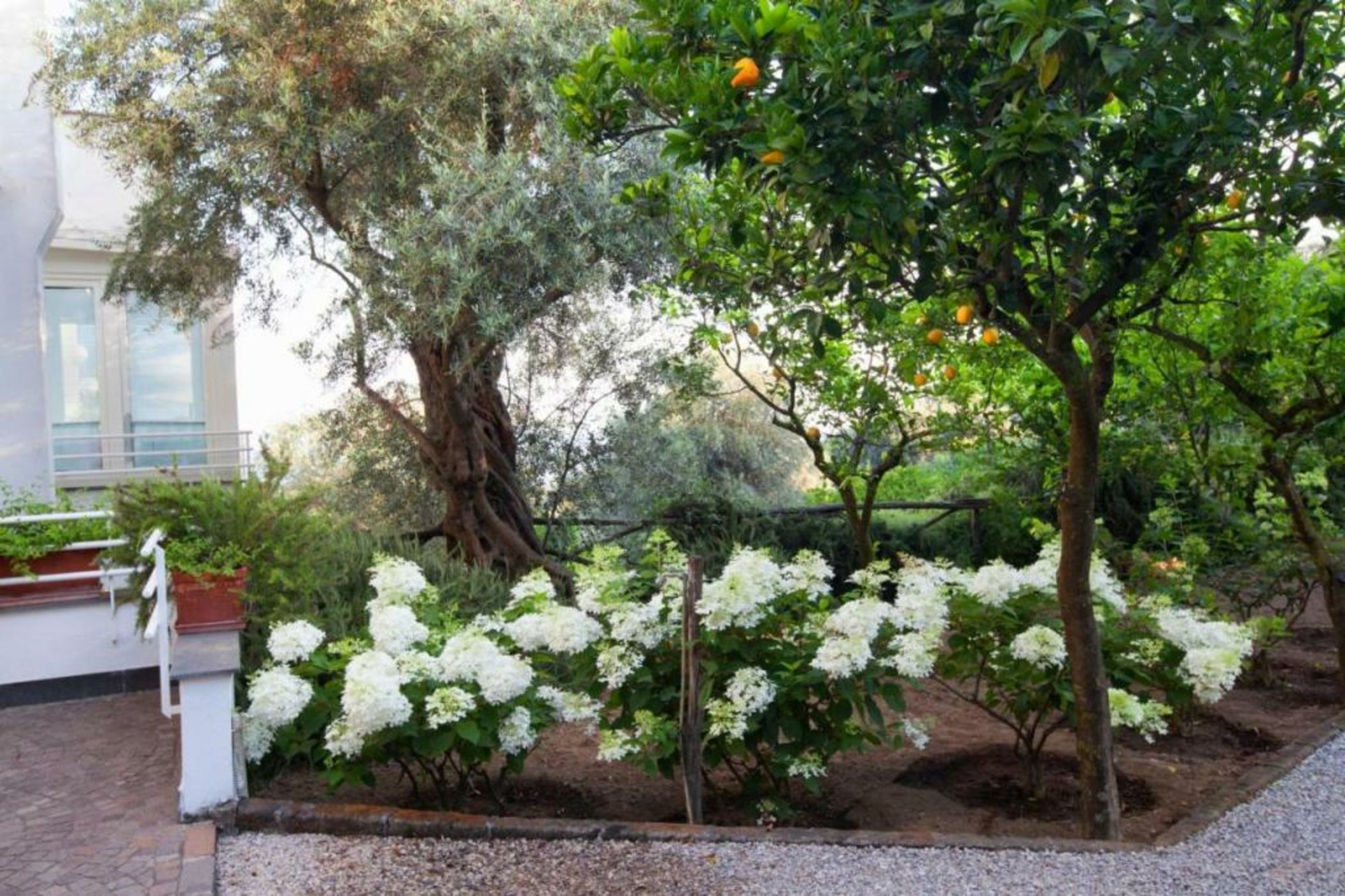 Villa Oriana Relais