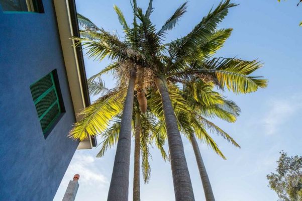 Bondi Beach House