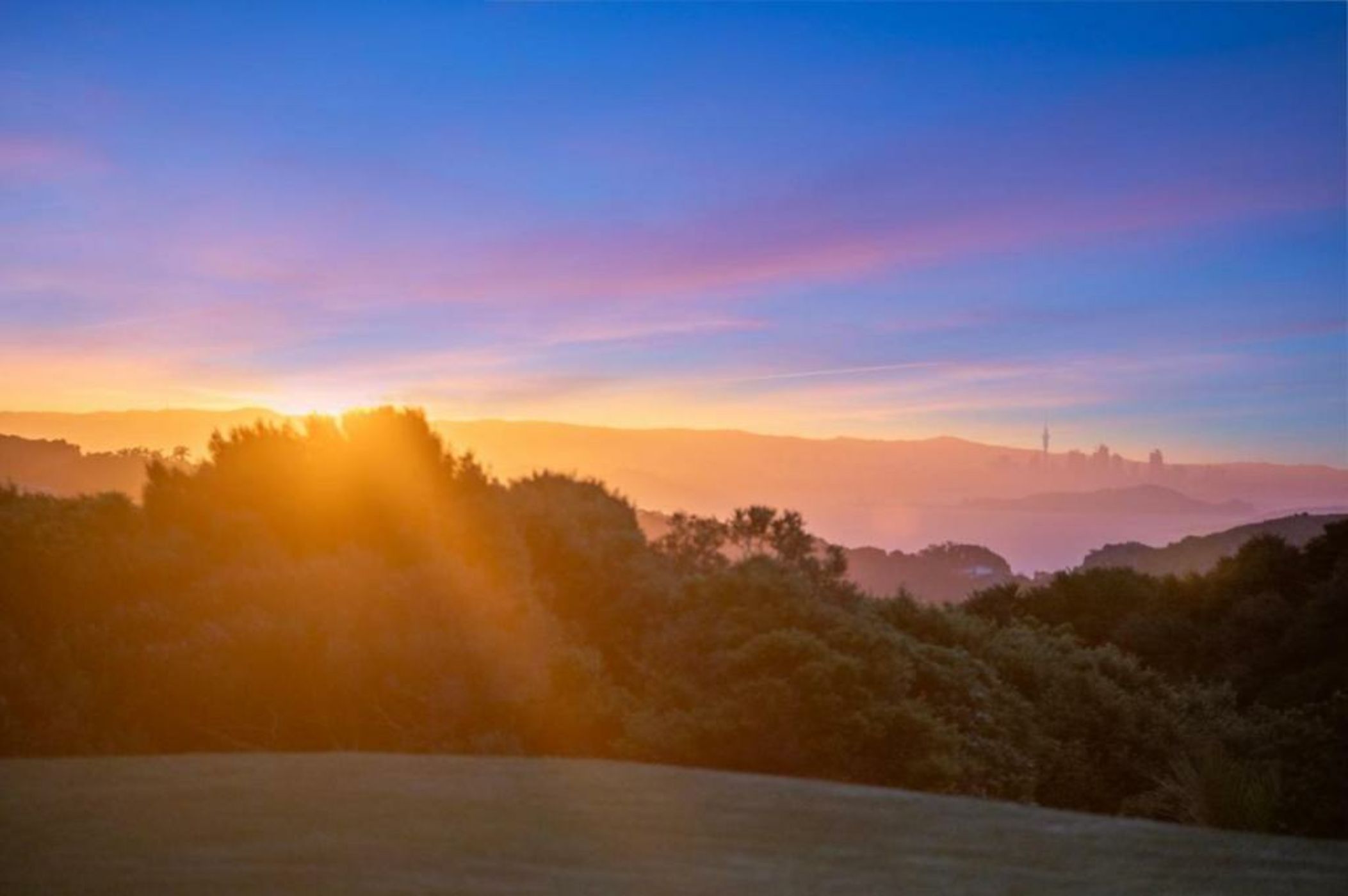 Villas Waiheke