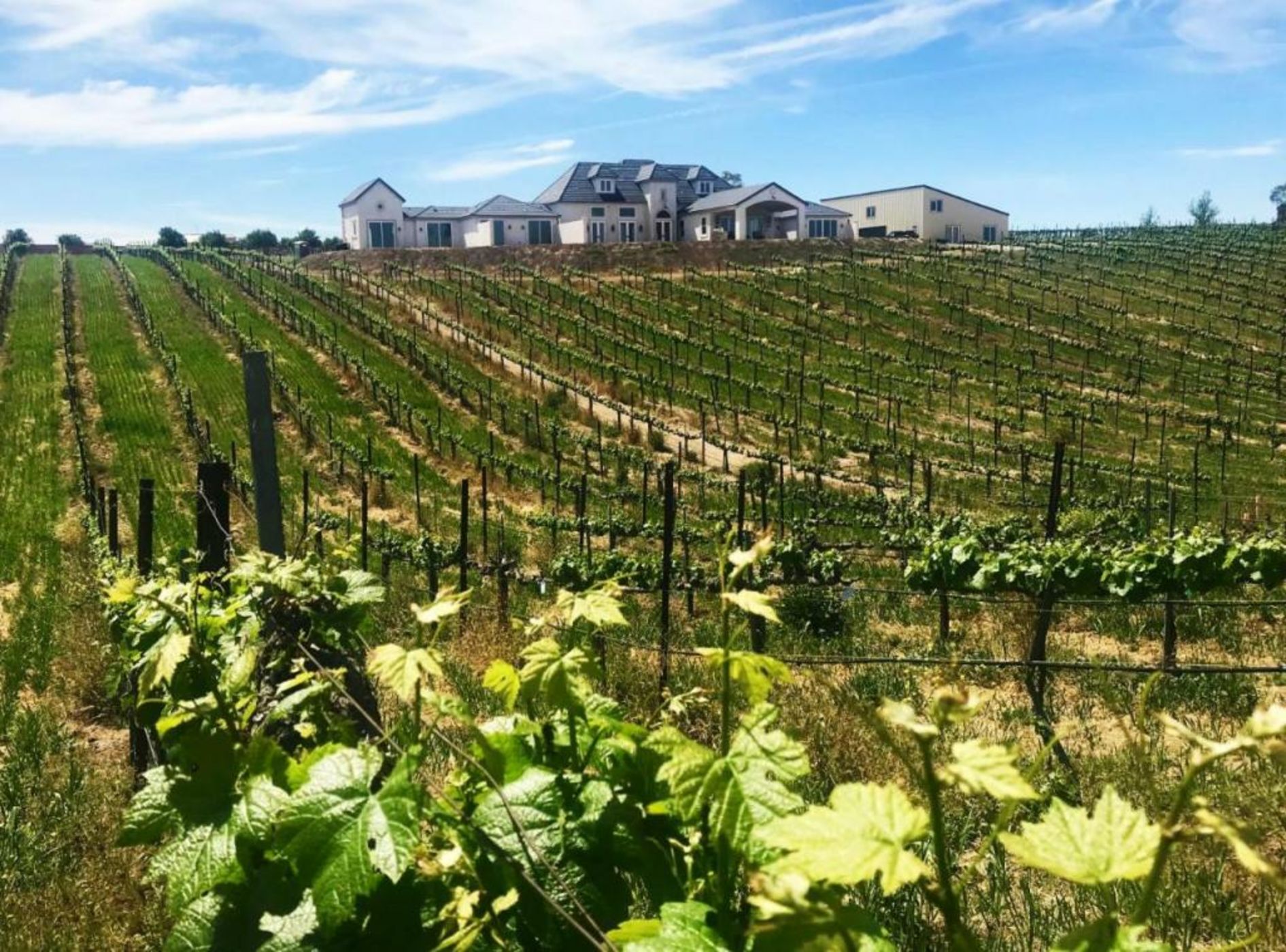 Domaine Chardonnay
