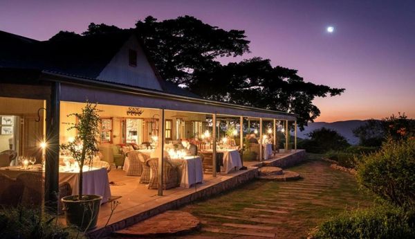 Camp Figtree by The Oyster Collection