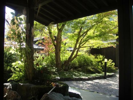 Hidaji (Adult Only)