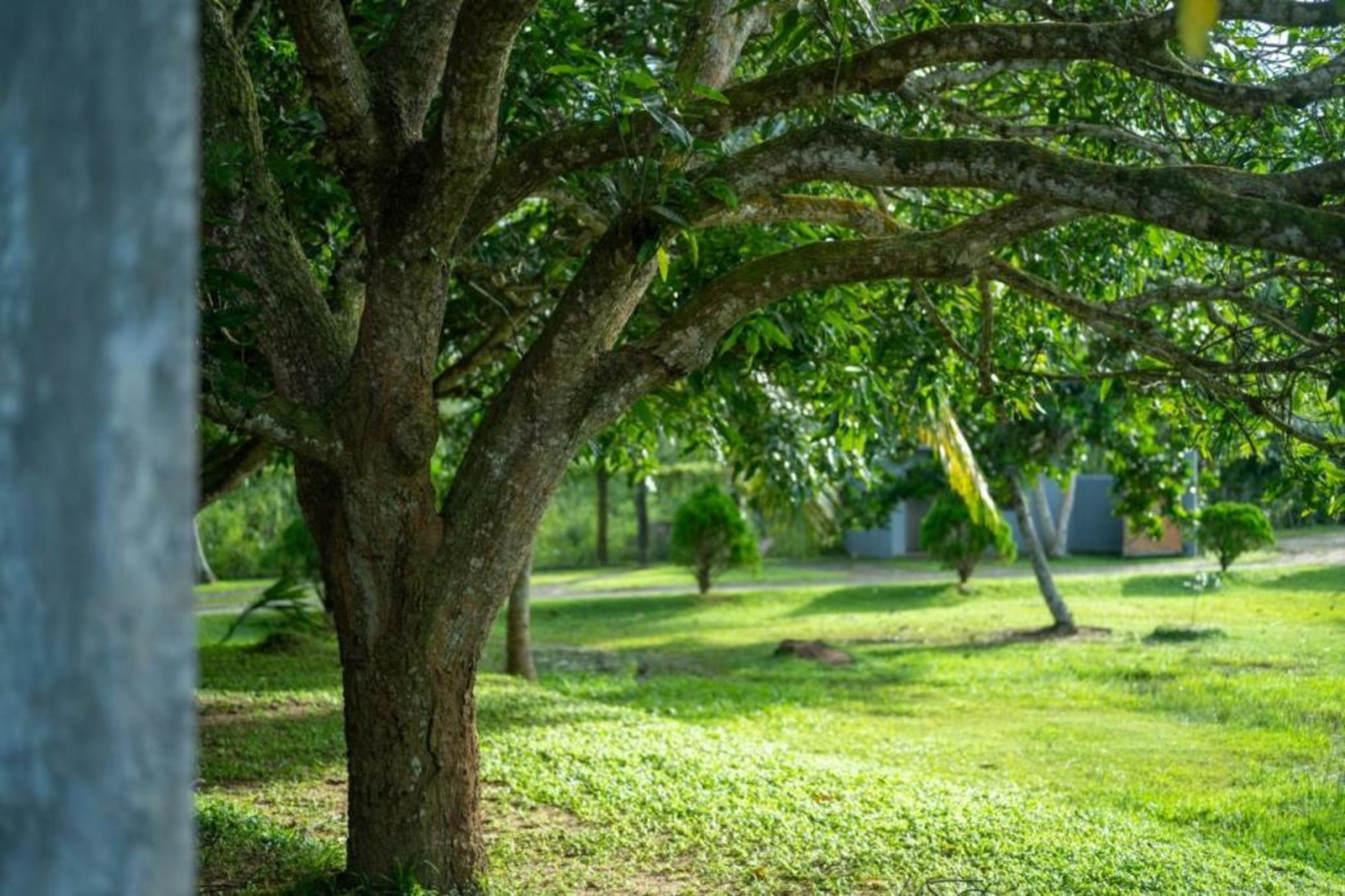Wirdana Resort & Spa