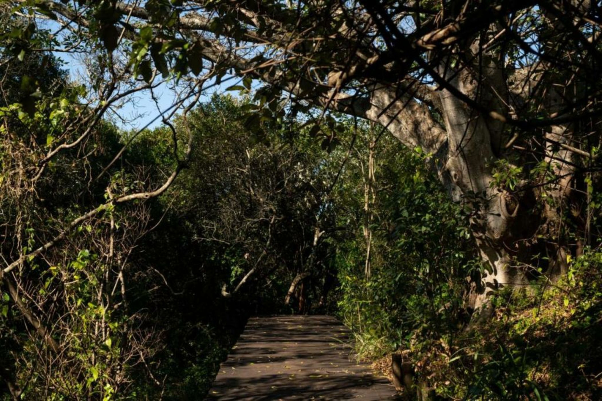 Prana Lodge