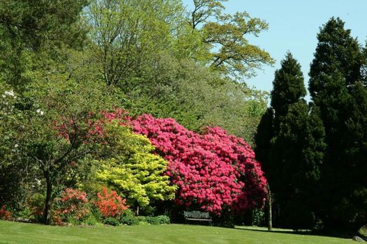 Northcote Manor