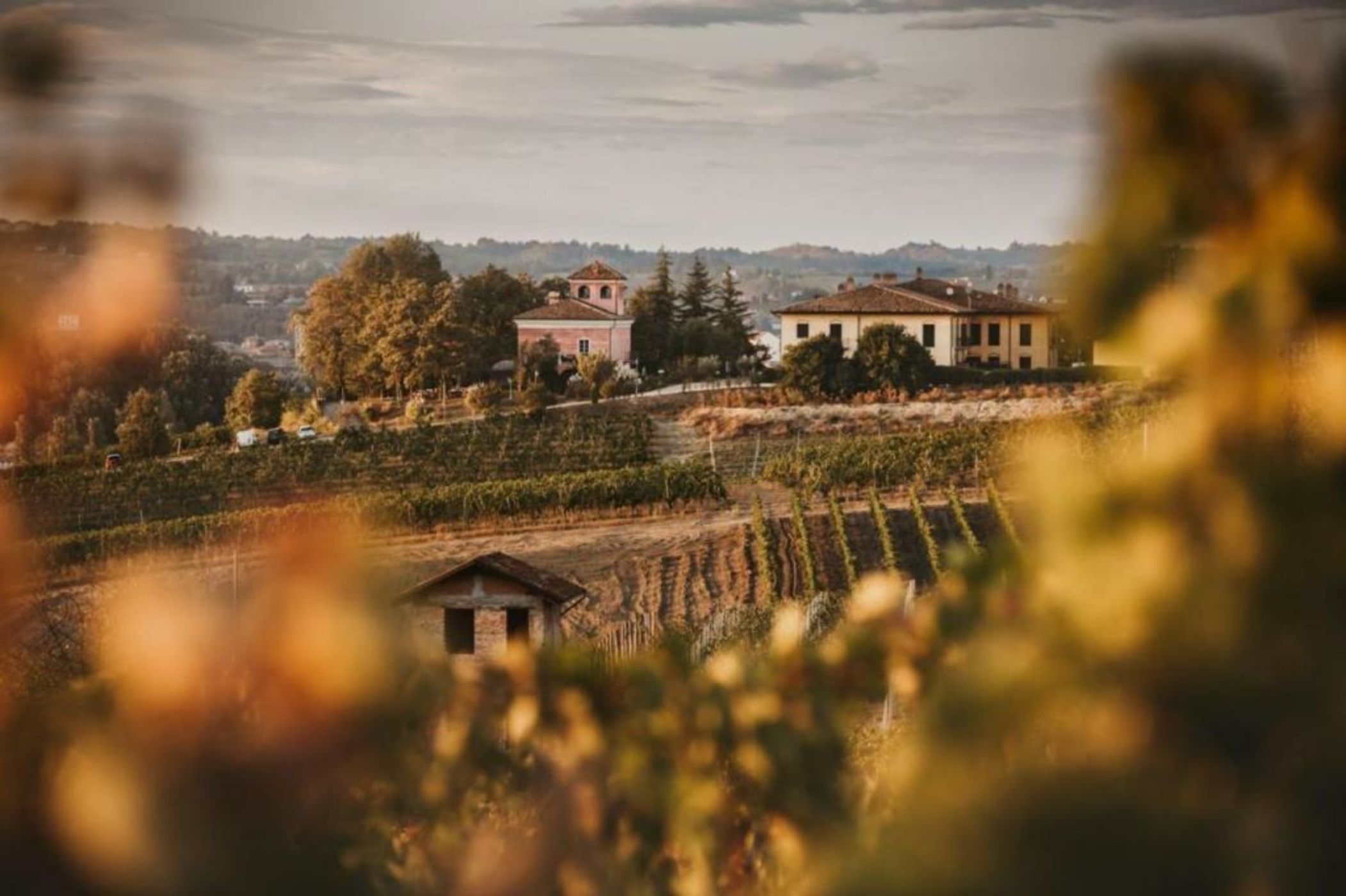 Agriturismo Tenuta La Romana