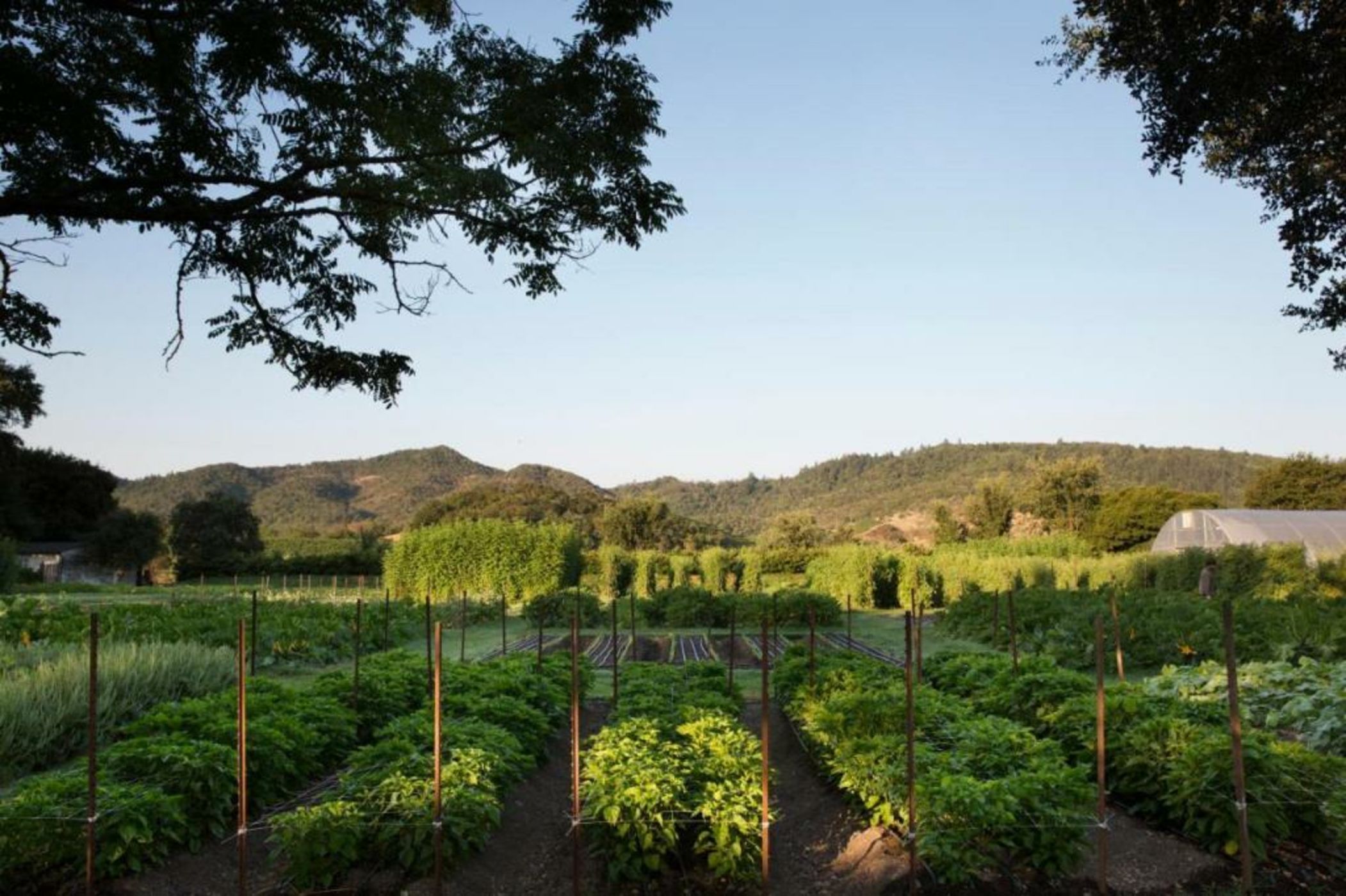 Napa Valley Lodge