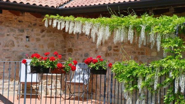 Hotel Podere Conti
