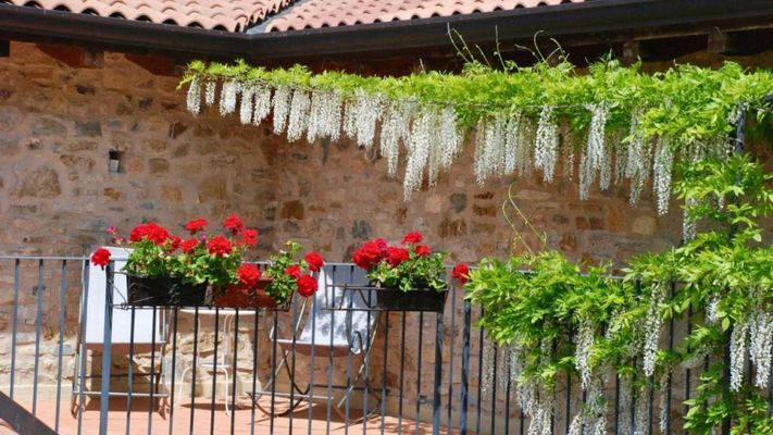 Hotel Podere Conti