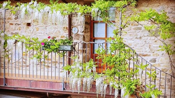 Hotel Podere Conti