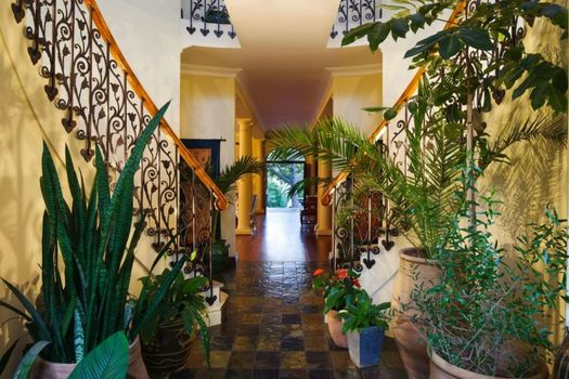 Ibis House
