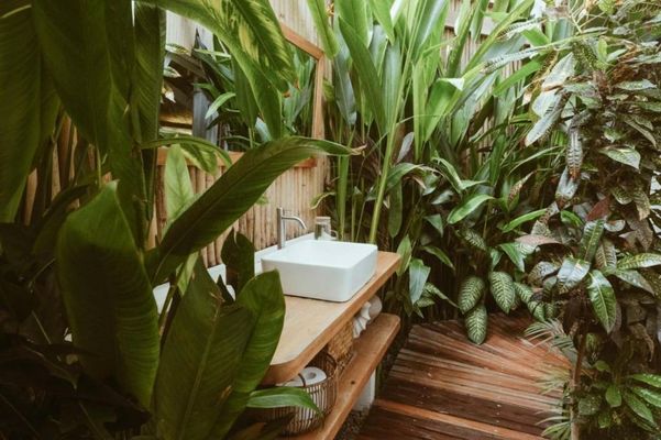 Punta Punta Surf Retreat
