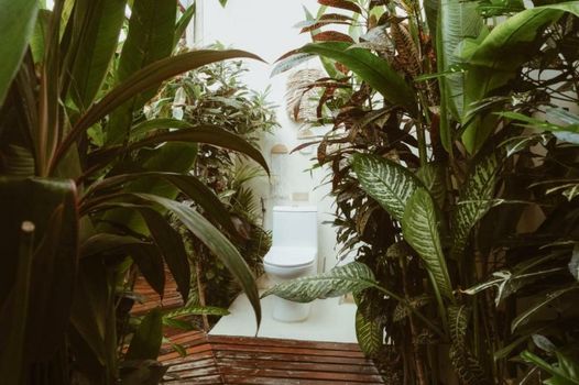 Punta Punta Surf Retreat
