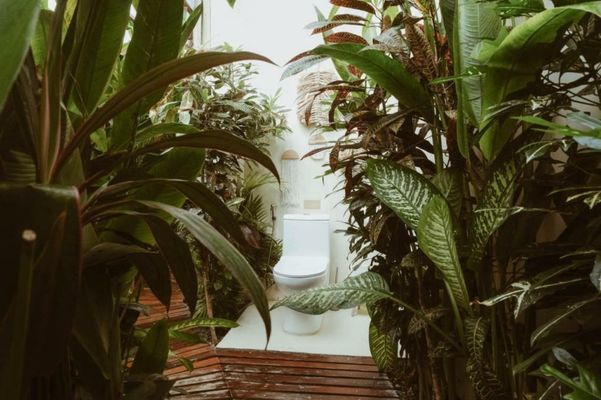Punta Punta Surf Retreat