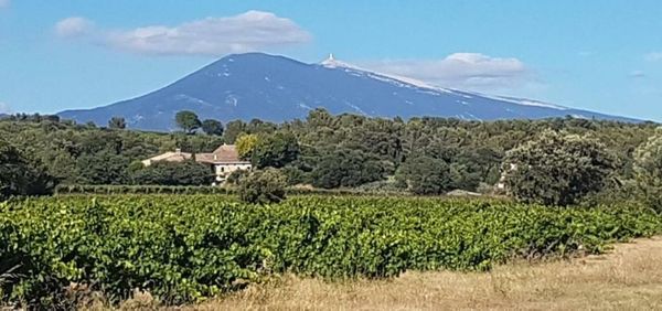 Le Clos Saint Saourde