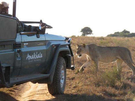 Woodbury Lodge – Amakhala Game Reserve