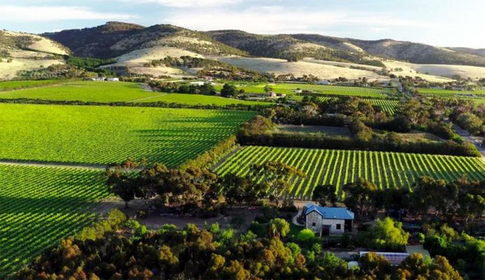 The Old Chaff Mill Organic Vineyard Retreat