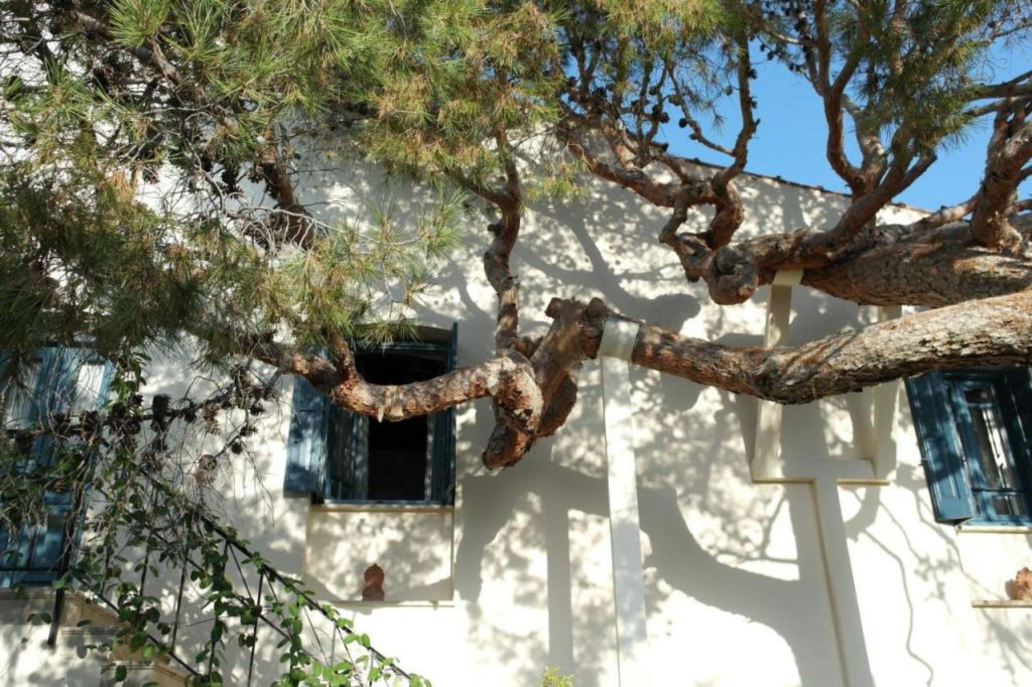 Villa Kynthia