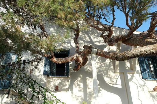 Villa Kynthia