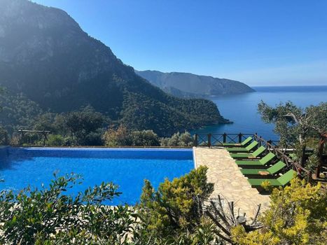 Olive Garden Kabak