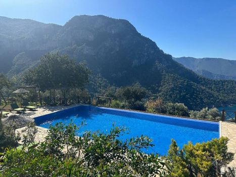 Olive Garden Kabak