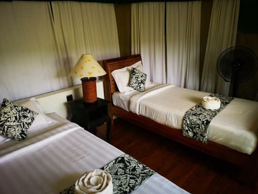 Canvas & Orchids Retreat