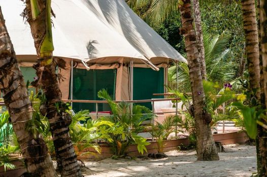 Canvas & Orchids Retreat