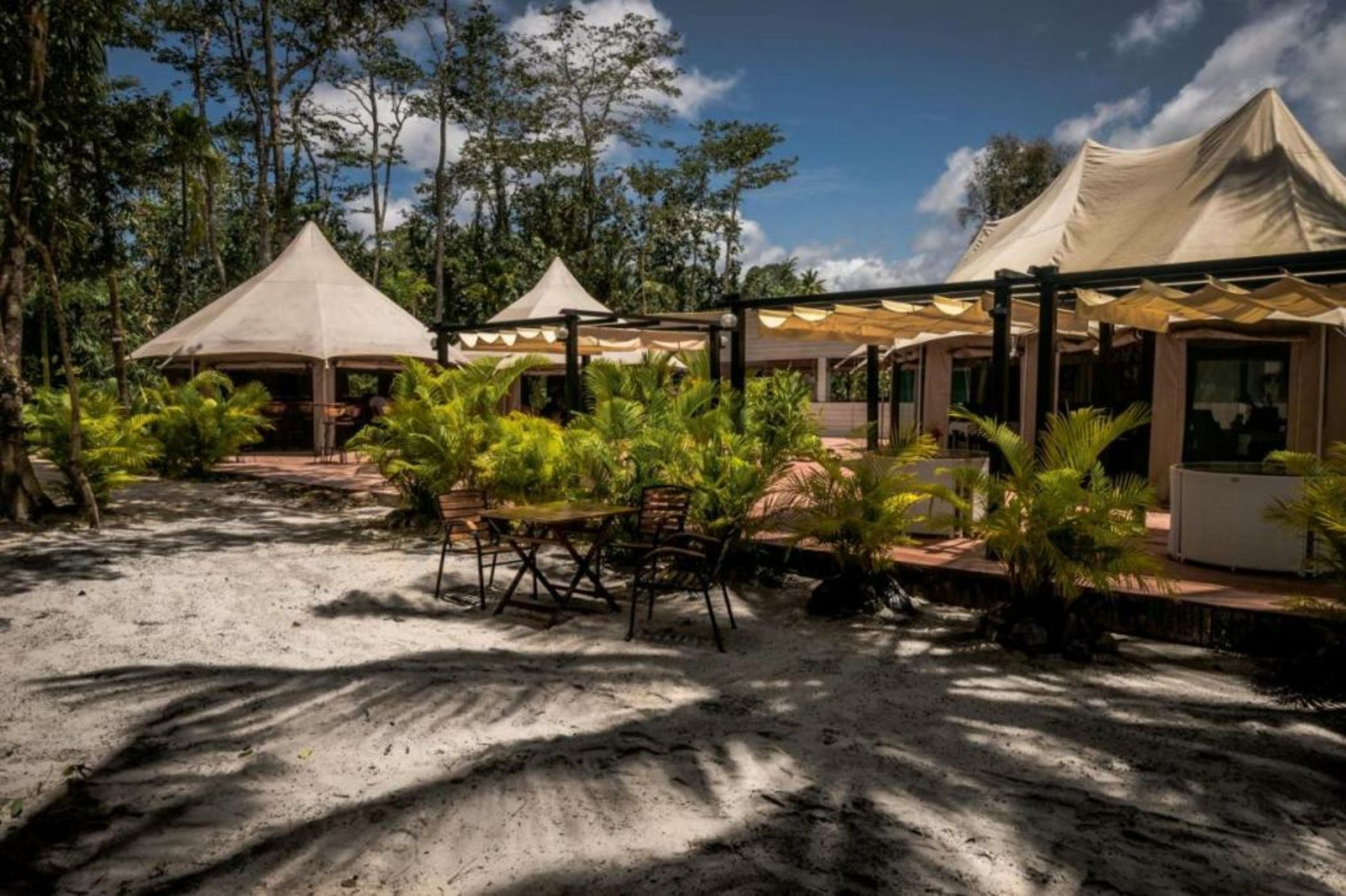 Canvas & Orchids Retreat