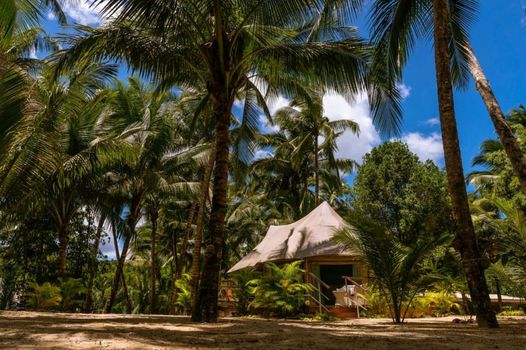Canvas & Orchids Retreat