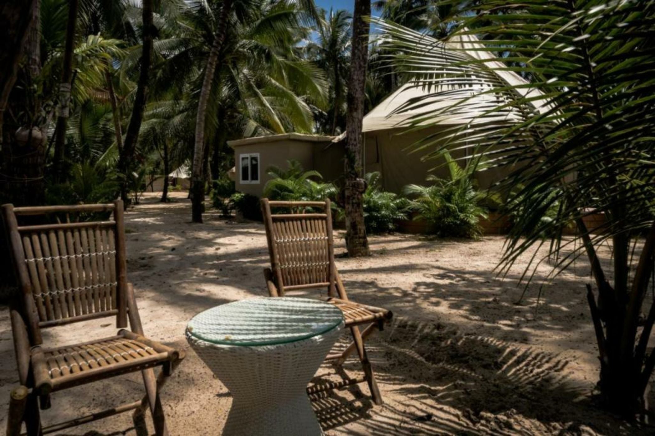 Canvas & Orchids Retreat