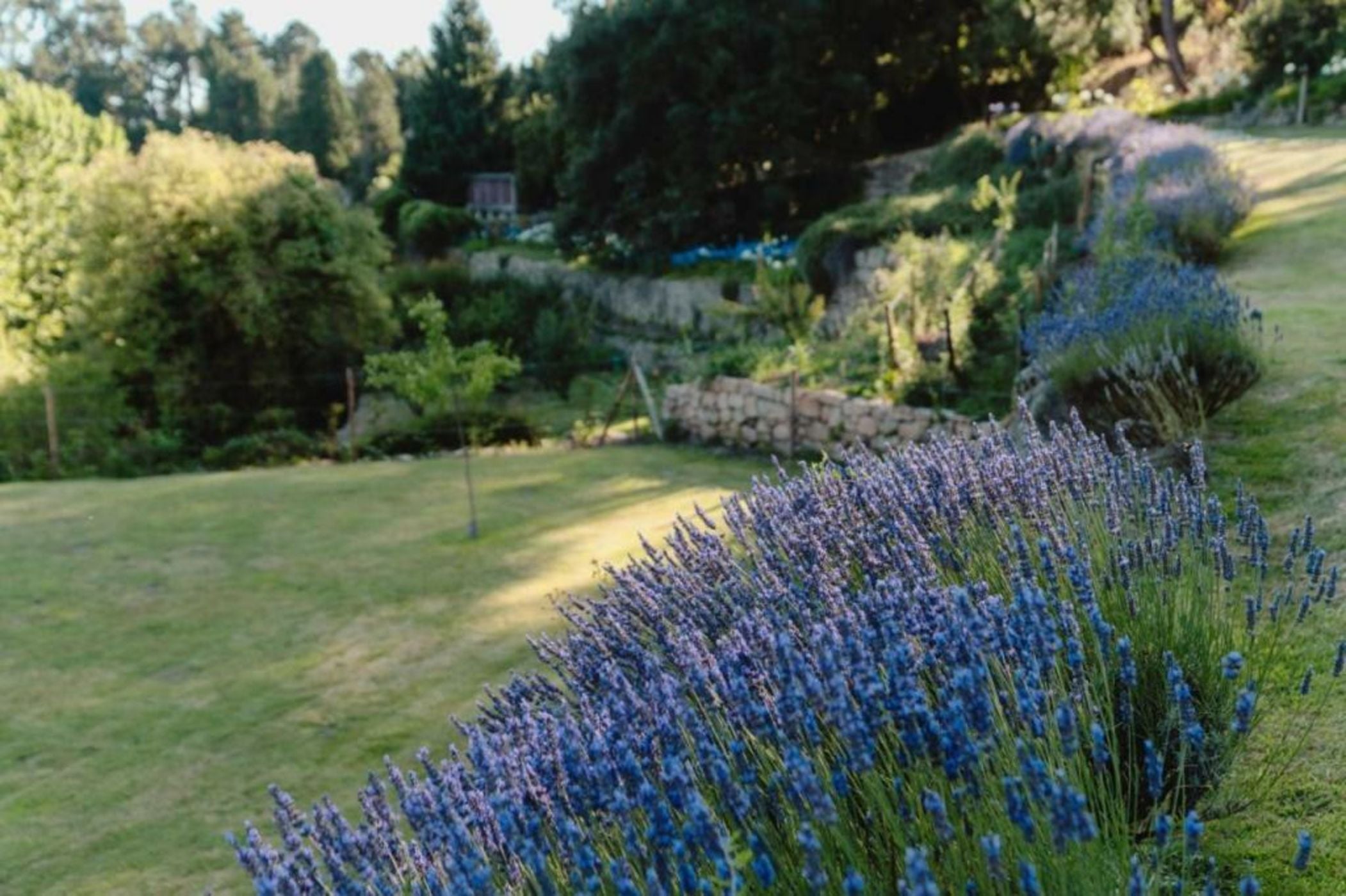 Casa Agricola da Levada Eco Village