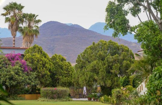 Hotel Hacienda Los Laureles