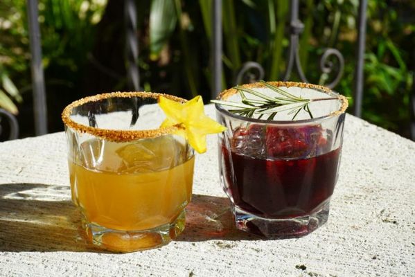 Hotel Hacienda Los Laureles
