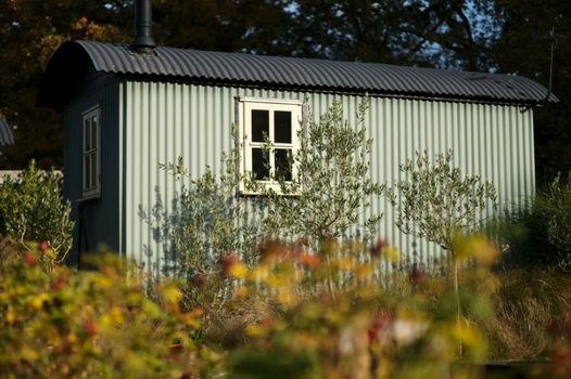 Daisybank Cottage Boutique Bed and Breakfast