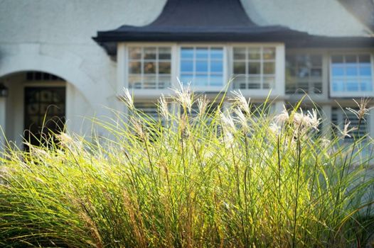 Daisybank Cottage Boutique Bed and Breakfast