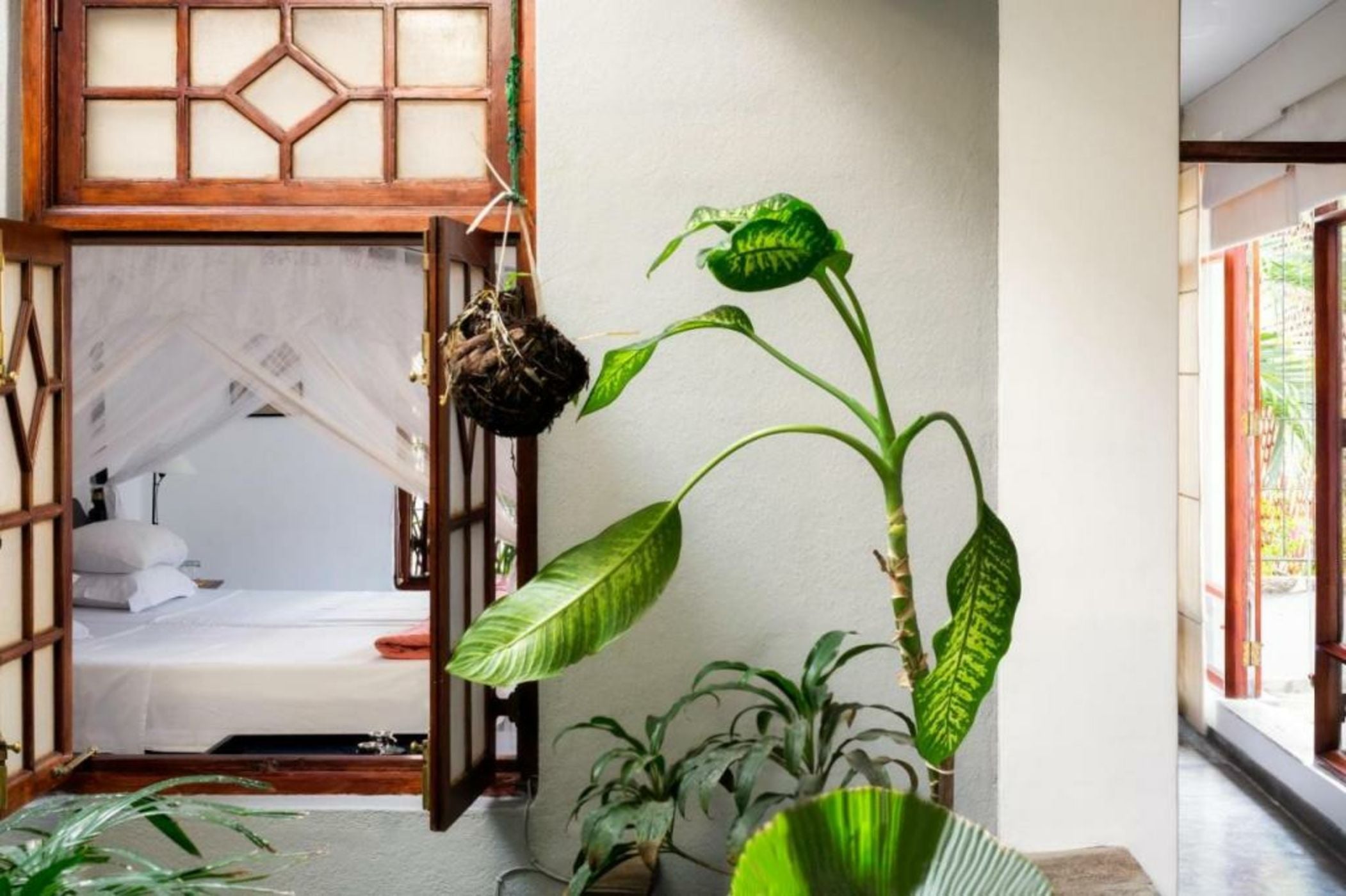 Mount Lodge Boutique Hotel