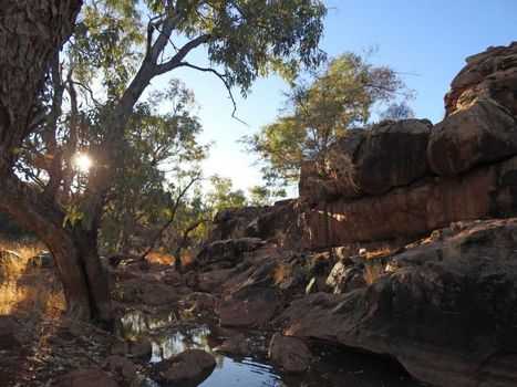 Ooraminna Homestead
