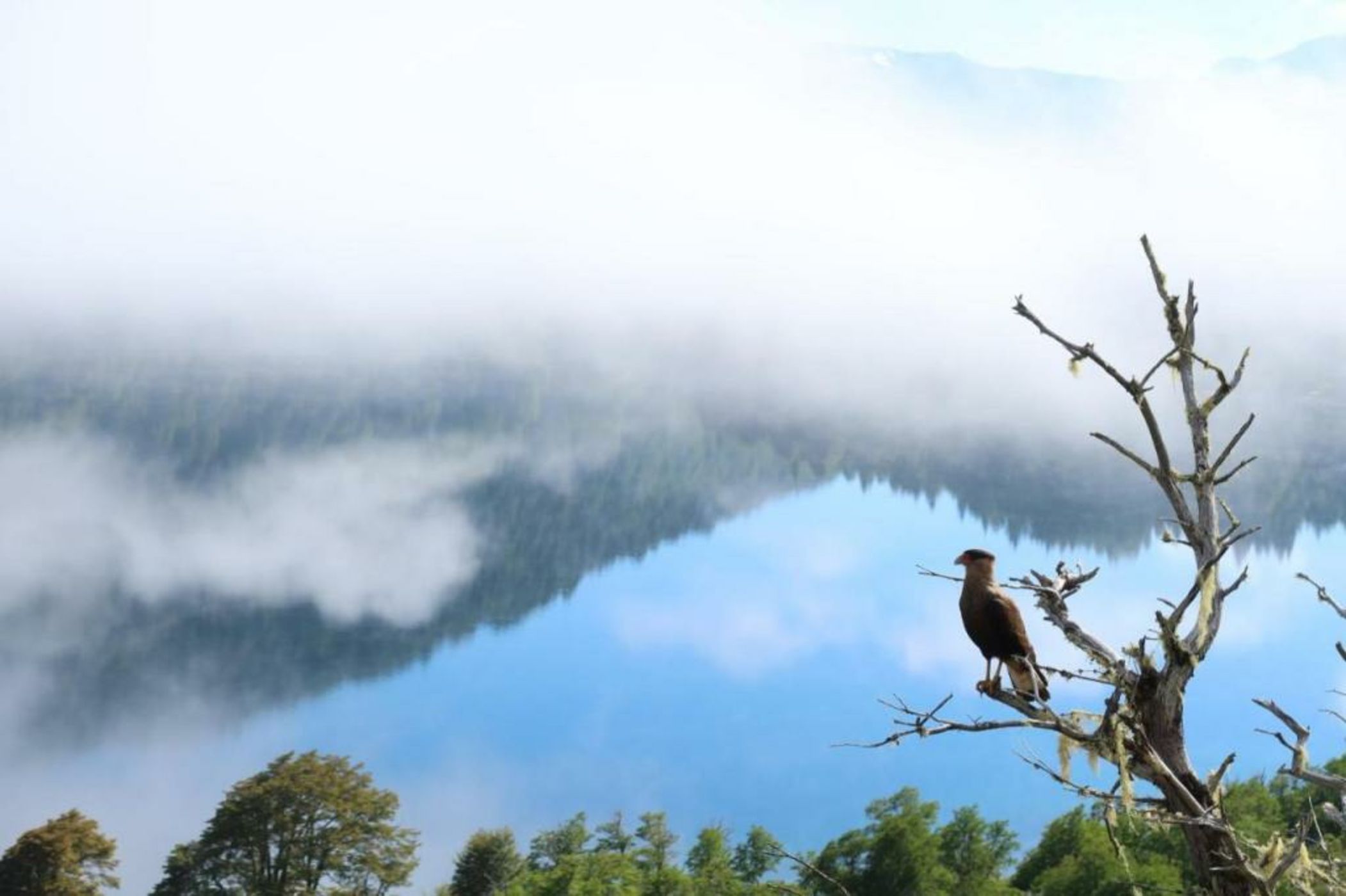 Hermoso Eco Lodge