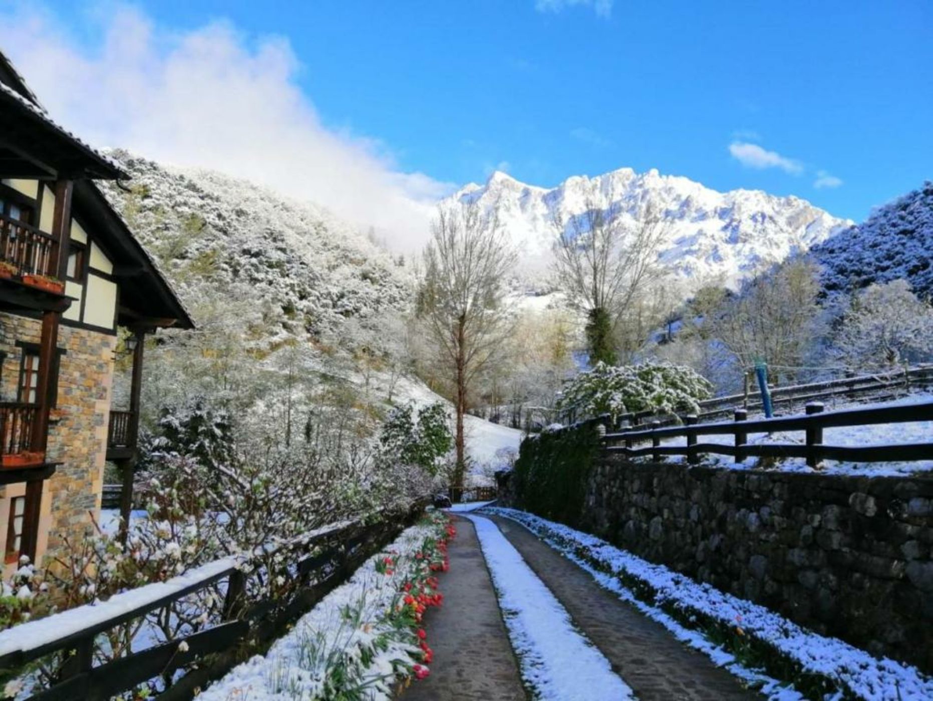 Posada San Pelayo