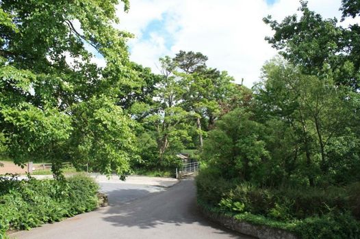 Ballylagan Organic Farm