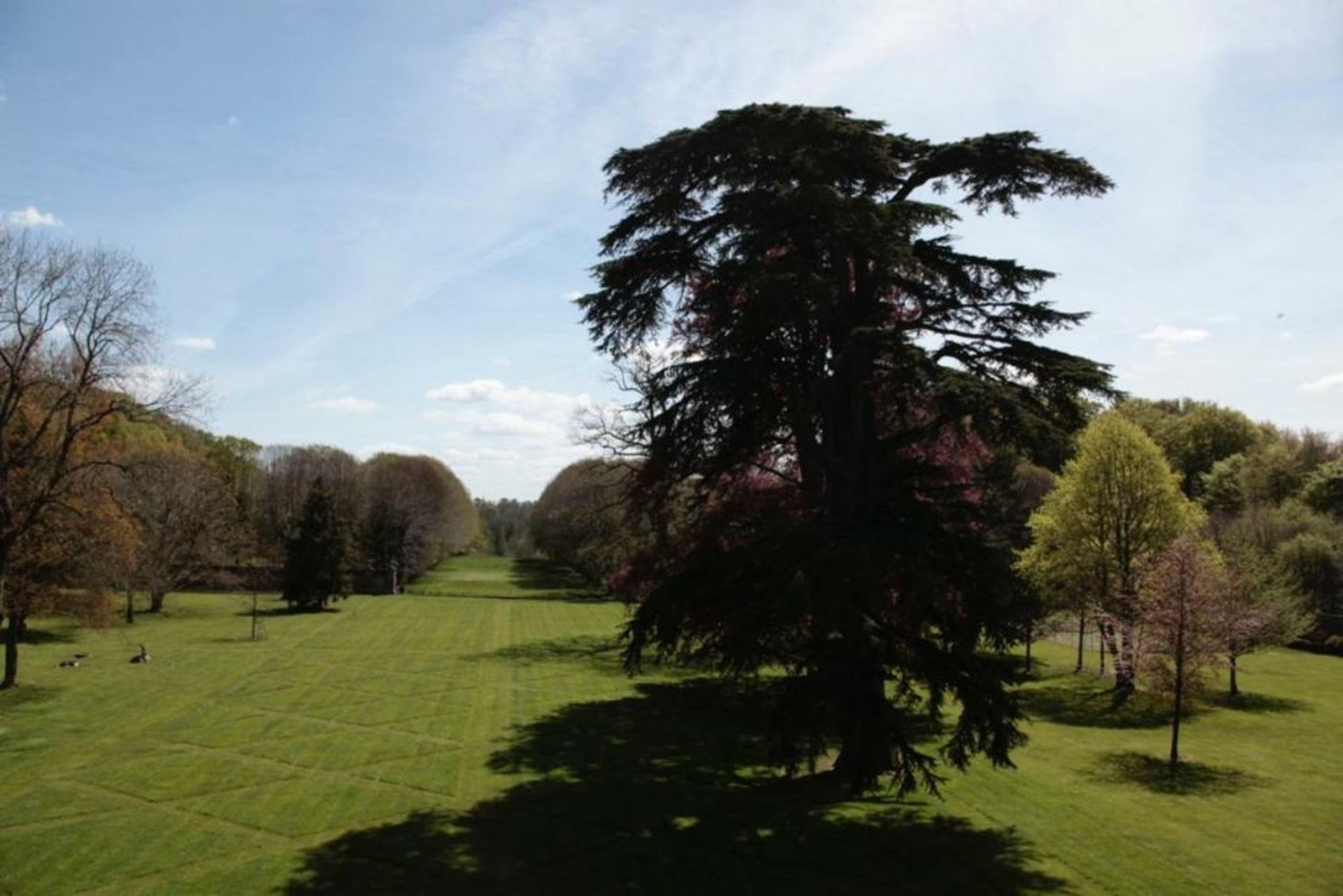 Château de Miromesnil