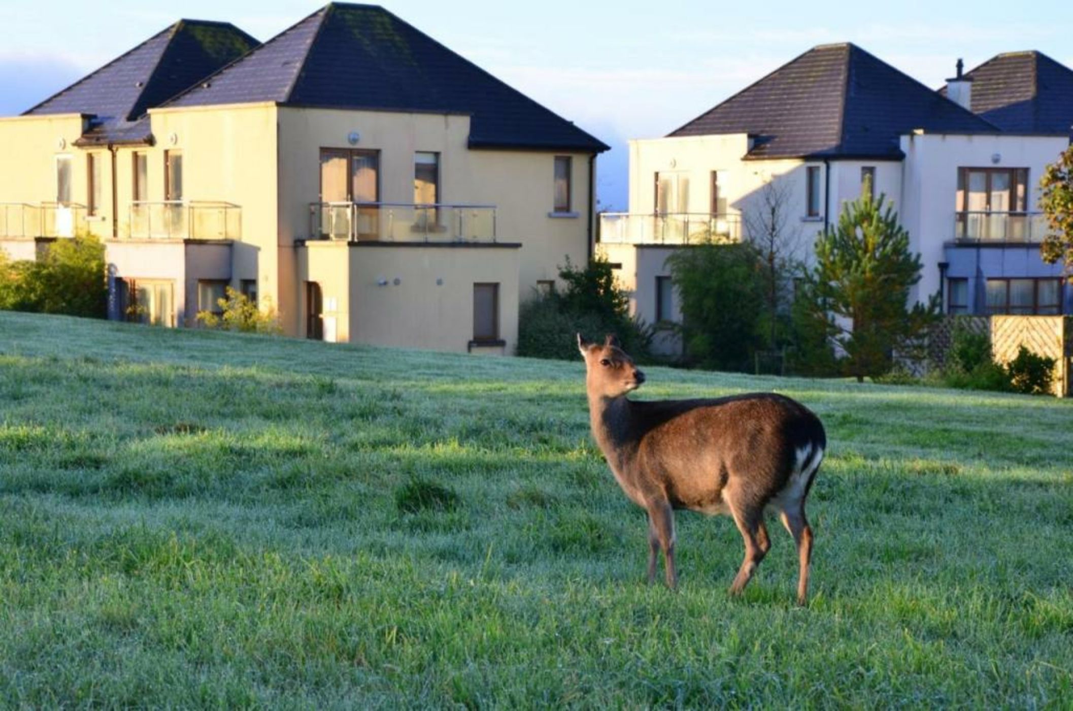 Waterford Castle Hotel & Golf Resort
