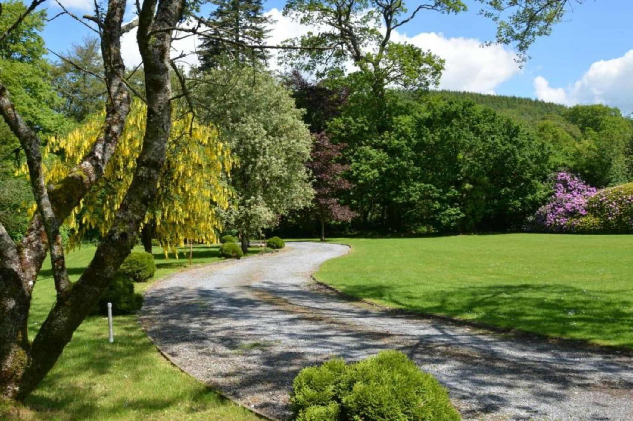 Glangwili Mansion - Luxury 5 star Bed & Breakfast