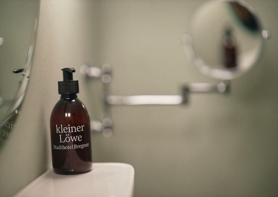 kleiner Löwe – Stadthotel Bregenz